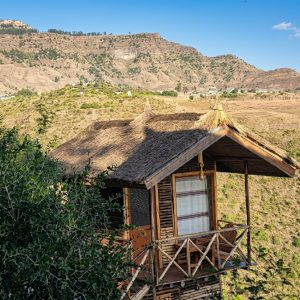 photo 2026 04 29 01 14 01